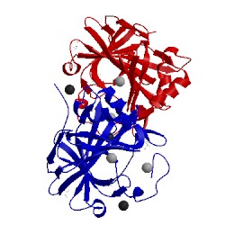 Image of CATH 5dvx