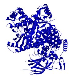 Image of CATH 5dxt