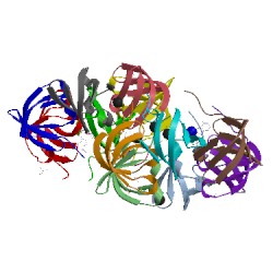 Image of CATH 5dy9