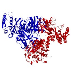 Image of CATH 5dyh