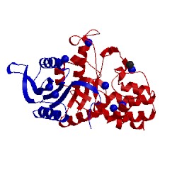 Image of CATH 5dyn