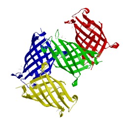 Image of CATH 5dyq