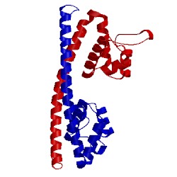 Image of CATH 5e01