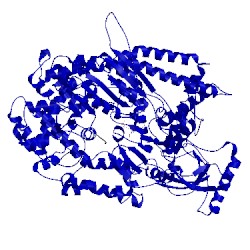 Image of CATH 5e02