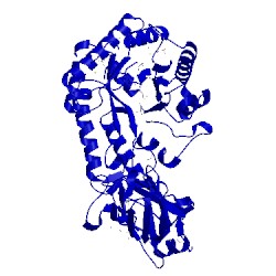 Image of CATH 5e09