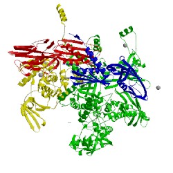 Image of CATH 5e17