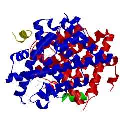 Image of CATH 5e19