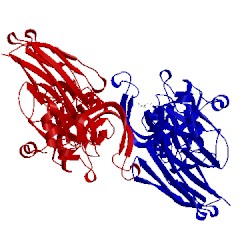 Image of CATH 5e1g