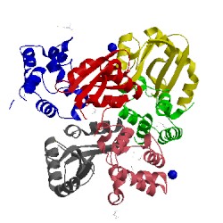 Image of CATH 5e3e