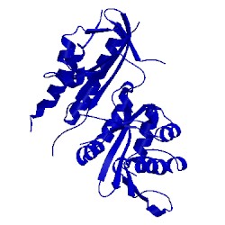 Image of CATH 5e3s