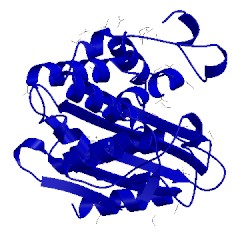 Image of CATH 5e43