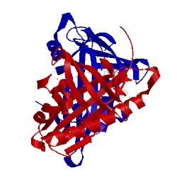 Image of CATH 5e46