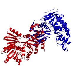 Image of CATH 5e4f