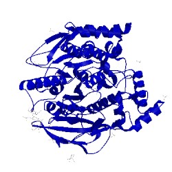 Image of CATH 5e4j