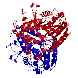 Image of CATH 5e4y