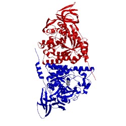 Image of CATH 5e5c
