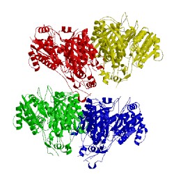 Image of CATH 5e5n