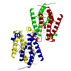 Image of CATH 5e7d
