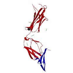 Image of CATH 5e8d
