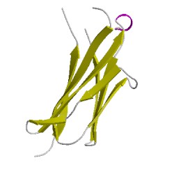 Image of CATH 5e8dH02