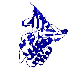 Image of CATH 5e90