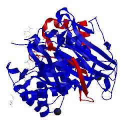 Image of CATH 5e98