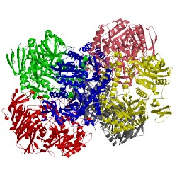 Image of CATH 5e9a