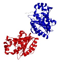 Image of CATH 5e9q