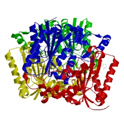 Image of CATH 5ea2