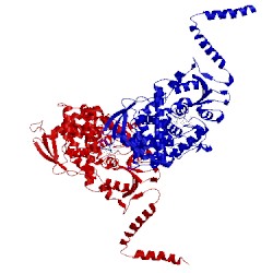 Image of CATH 5eaf