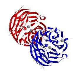 Image of CATH 5ear