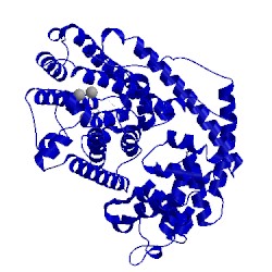 Image of CATH 5eat