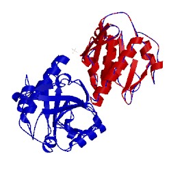 Image of CATH 5eb2