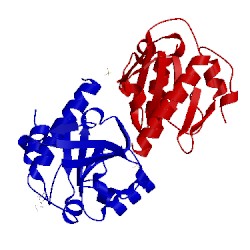 Image of CATH 5eb3