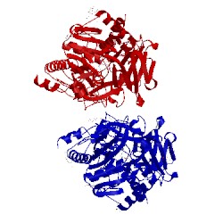 Image of CATH 5eb5