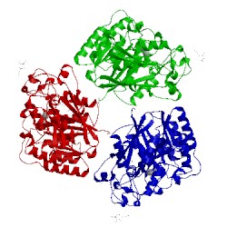 Image of CATH 5ebb