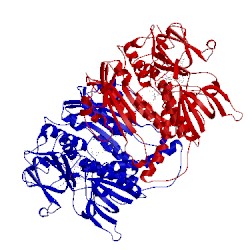 Image of CATH 5ebk