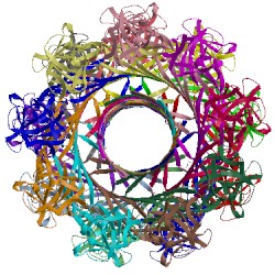 Image of CATH 5ec5