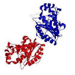 Image of CATH 5ec8