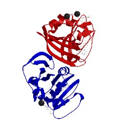Image of CATH 5ecc
