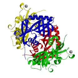 Image of CATH 5ece