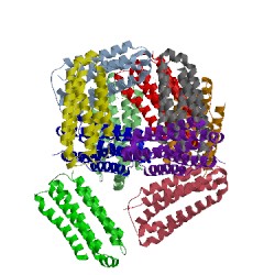Image of CATH 5ecf