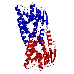 Image of CATH 5ecs