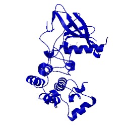 Image of CATH 5edr