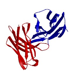 Image of CATH 5edx