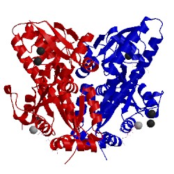 Image of CATH 5ee3