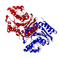 Image of CATH 5eem
