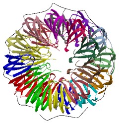 Image of CATH 5eev