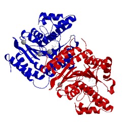 Image of CATH 5ef7