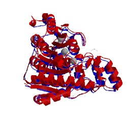 Image of CATH 5ef8